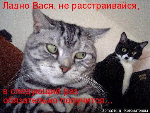 unnamed-3.jpg.003e0bacfd8a7dcc47f8e139cc5ca2ad.jpg