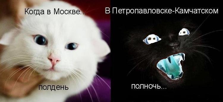 2393957589.jpg.057ce87bbe25b2ca1d778f4b4a58d8da.jpg