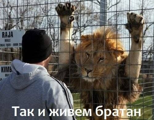 post-1083645-0-89644700-1419671340.jpg