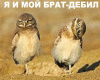 post-39921-0-84767900-1368615799.gif